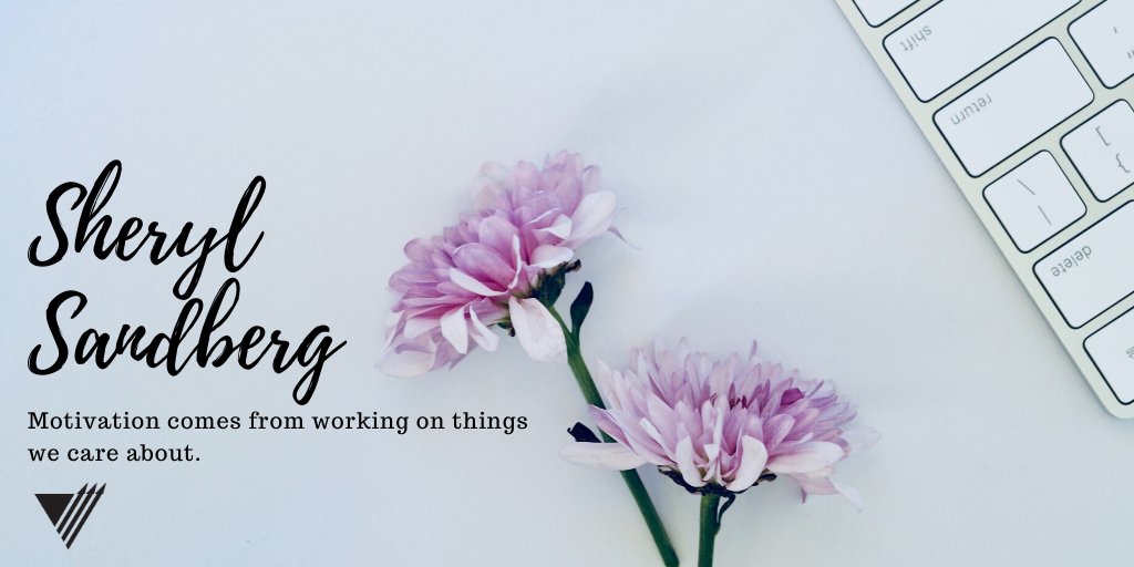 Vector Marketing tweet media