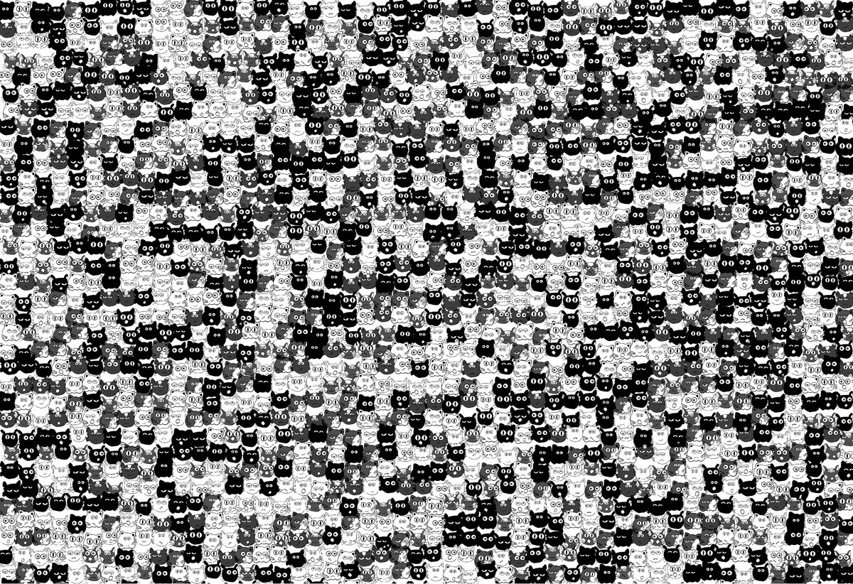 odd.studio tweet media