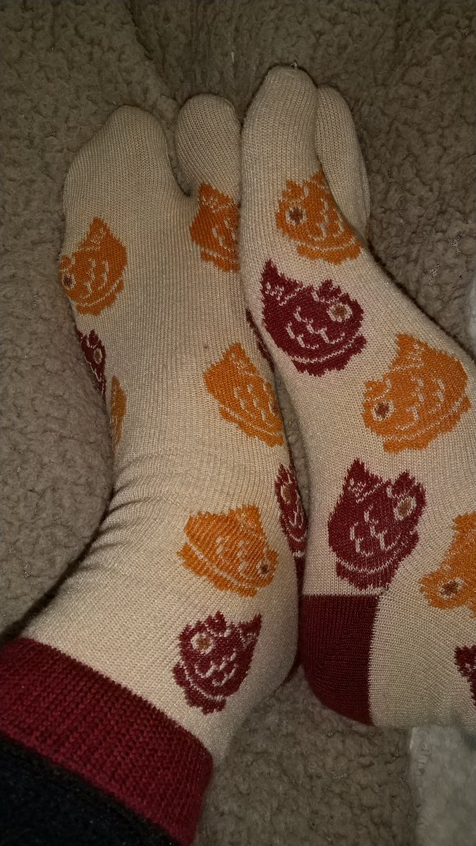 #tabisocks #japanesesocks #twotoedsocks