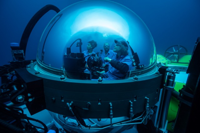 SylviaEarle photo