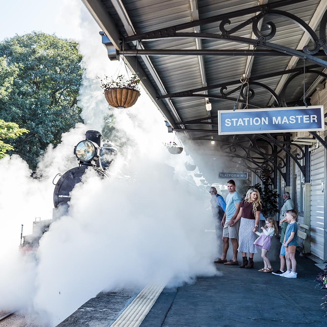 VisitSCcorp's tweet photo. 💡 Member spotlight: Mary Valley Rattler 🚂

One of the most iconic heritage experiences on the Sunshine Coast captures the Gympie region’s rich history. 

Watch more here: https://t.co/AHK31JKybc https://t.co/Lh2RolE2k4
