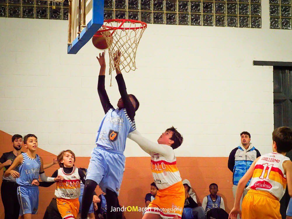 adecgoleta's tweet photo. 📌 RESULTADOS | Liga @FAB_Malaga | J9ª | Fase Previa🥇

☺️ Mini’11 Masculino 7️⃣6️⃣ - 3️⃣5️⃣ @cbelpalo’12

Bonito duelo ante un equipo un año menor que la mayoría de los nuestros que supo poner las cosas difíciles. Mañana, a por otro partido‼️

#SomosTUequipo💙
#vamosgoleta🏀 https://t.co/AYDD0ldLSr