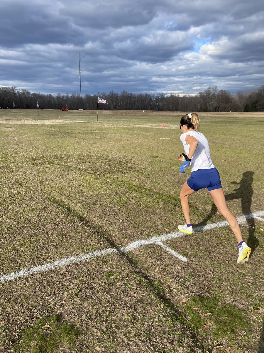 Stephanie Bruce tweet media