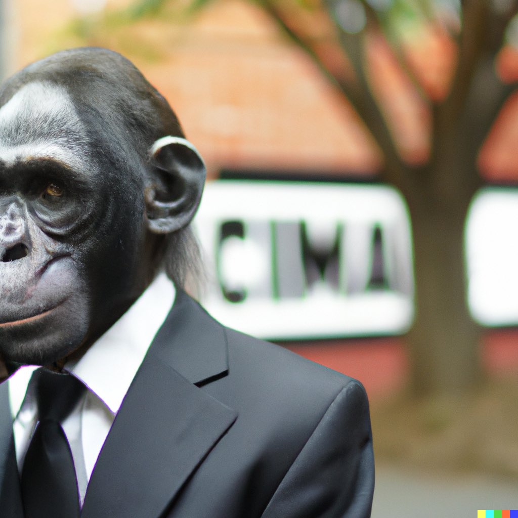 elochima's tweet image. #BAPES is the key to unlocking the doors of opportunity. With a strong foundation, aligned priorities, protection for the present and future, expansion of your portfolio, and security for the long term, you can achieve financial freedom and success.

#blockchain #invest #token