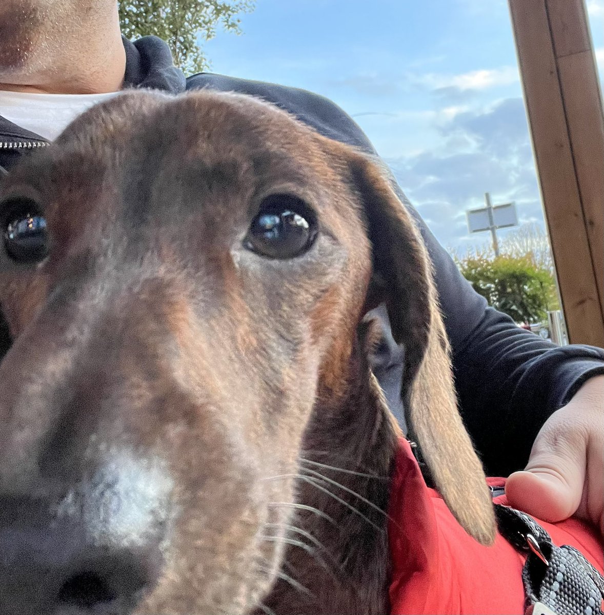 MrMarkTronic's tweet photo. @CostaCoffee back to the fantastic service Percy and I usually receive at the Doncaster Herten Triangle store this evening! Thank you ladies, much appreciated 😎👍 https://t.co/wdop506mHt