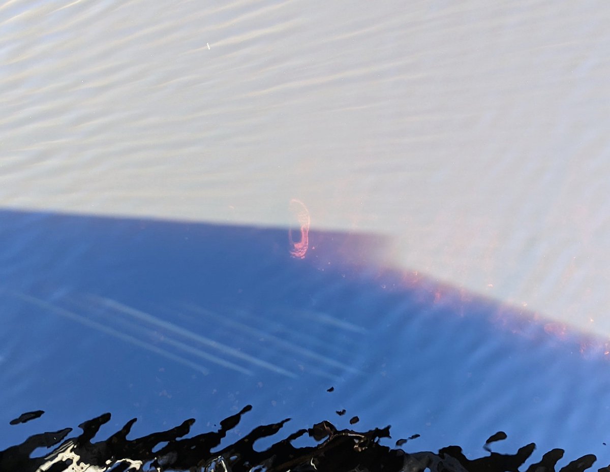 ArtistPaulYoder's tweet image. You ever come across an image on a stroll and just think, "well that's slightly unsettling..." 🫥