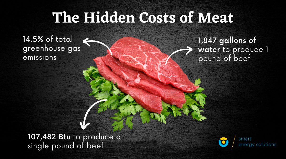 SolarusEnergy's tweet photo. Investing in high-temperature solar PVT technology is a no-brainer for companies in the meat processing industry. Not only does it have the potential to significantly reduce costs and improve energy efficiency, but it also demonstrates a commitment to environmental stewardship 🌞 https://t.co/OdDcIE9T48