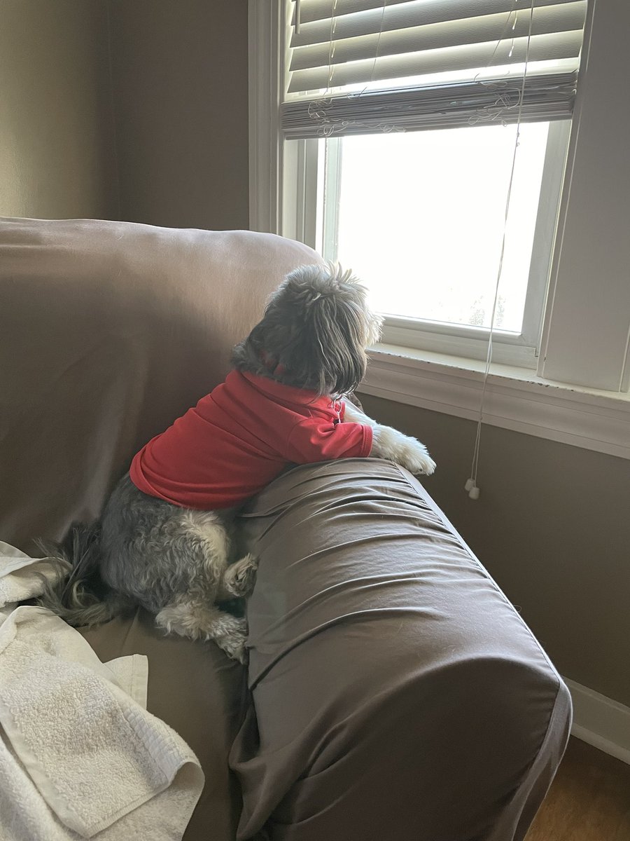 CommonCentsPF's tweet photo. How to save money on a home security system. #DogsofTwittter #lifehacks https://t.co/qq8uZoxoUx