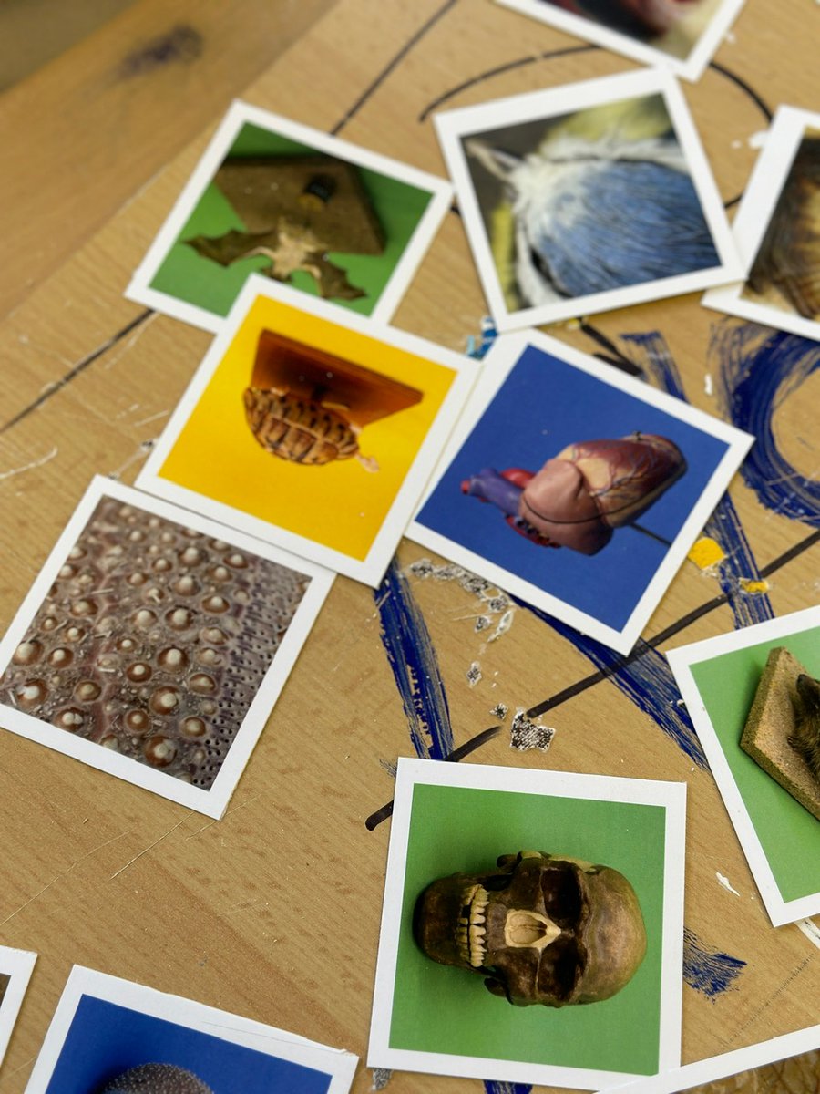 "DISTANZ+DETAIL" : Schüler*innen des Kurt-Körber-Gymnasiums fotografieren die Schätze ihrer naturkundlichen Sammlung und kreieren für ihre Mitschüler ein Memory-Spiel. Morgen #Weltpremiere auf dem Tag der offenen Tür #KKG #TWLZ <a href="/hh_bsb/">Schulbehörde Hamburg</a>