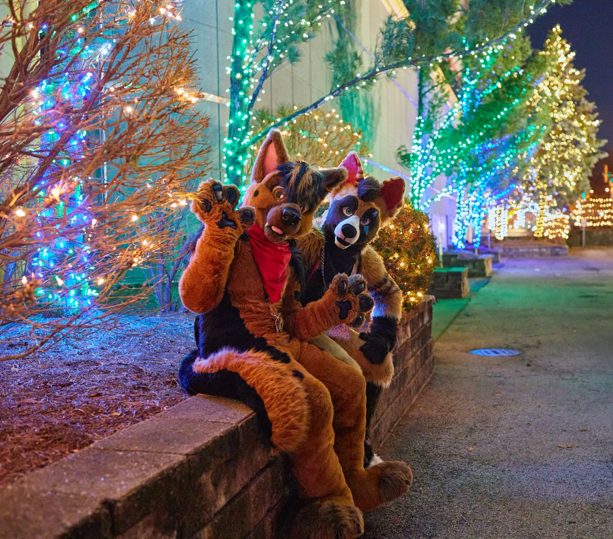 Another throwback to #MFF2022 for #FursuitFriday, with:
<a href="/rocyofox/">Fox Breath</a> @Lexir_The_Wedge <a href="/XionShep/">Xion (Offline)</a> <a href="/AardwolfEssex/">Aard~✨Aardwolf Essex</a> @WereShepDor <a href="/CoreyCoyote/">Just Corey</a>