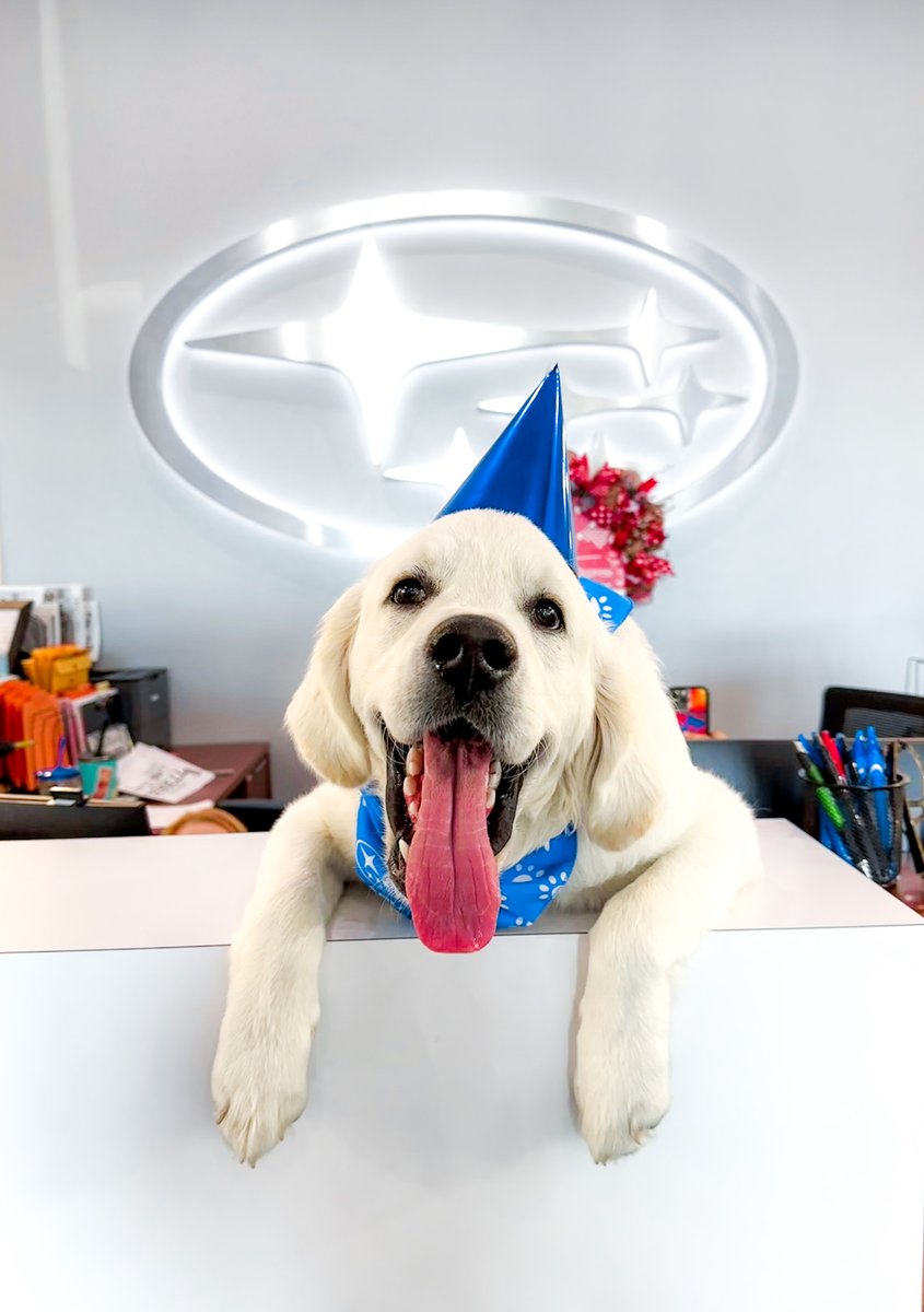 Austin Subaru tweet media