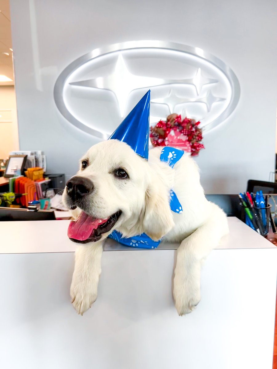 Austin Subaru tweet media