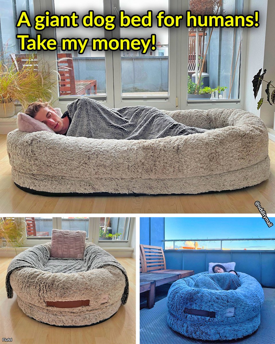 heɪz(ə)l tweet media