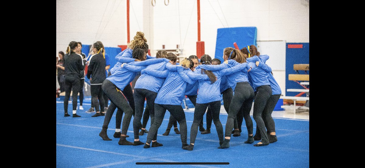 Lakeview Gymnastics tweet media