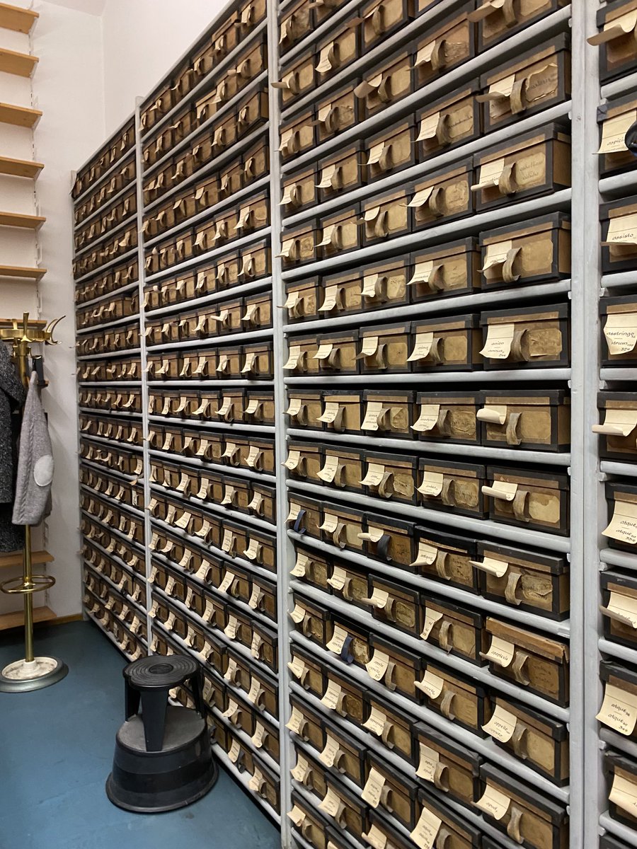 PhilologistGRC's tweet image. Millions and millions of largely handwritten slips illustrating Latin words at the thesaurus Linguae Latinae