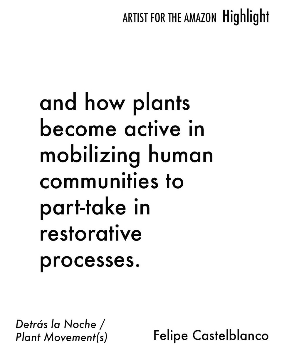 <a href="/felipecastel/">Felipe Castelblanco</a> "I spent time with plants during the day and through the darkness of the night…crisscrossing layers of invisibility, shadow, and mystic nights in the primary forest." bit.ly/3iV7fvx #artistfortheamazon #beyondconservation2022 #artistinresidence