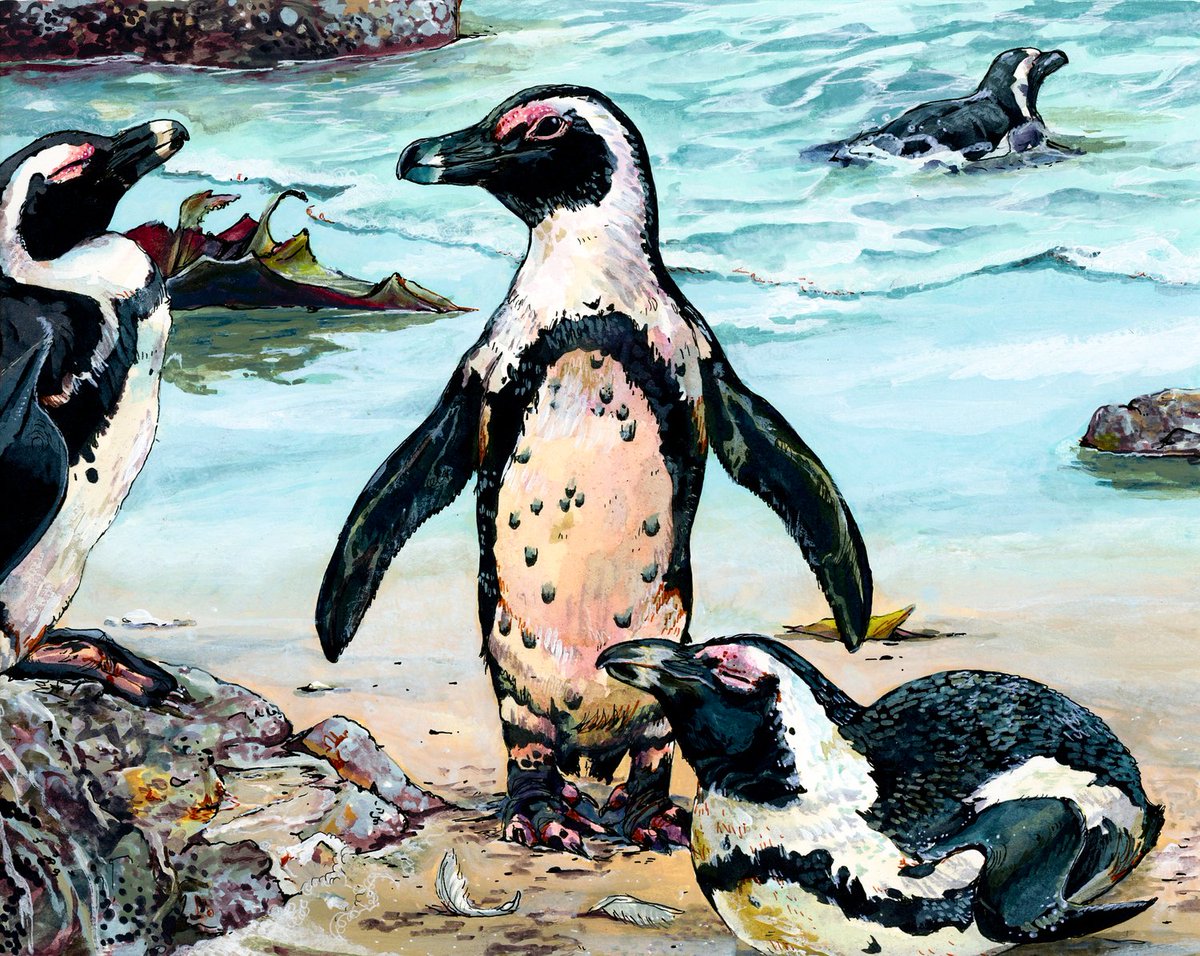 its #PenguinAwarenessDay !!!! I love this paining from last year.