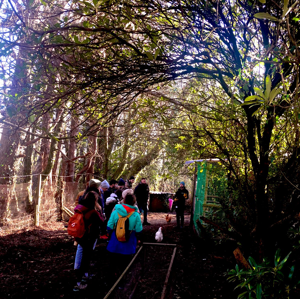 Diolch yn fawr iawn i <a href="/AcademySteer/">STEER - The Enterprise Academy</a> for a fabulous afternoon touring their property and cultural activities as part of our <a href="/EUErasmusPlus/">Erasmus+</a> #SafeguardingOurYoungPeople project Thank you for showing us how you safeguard young people in such varied contexts 🙏😊