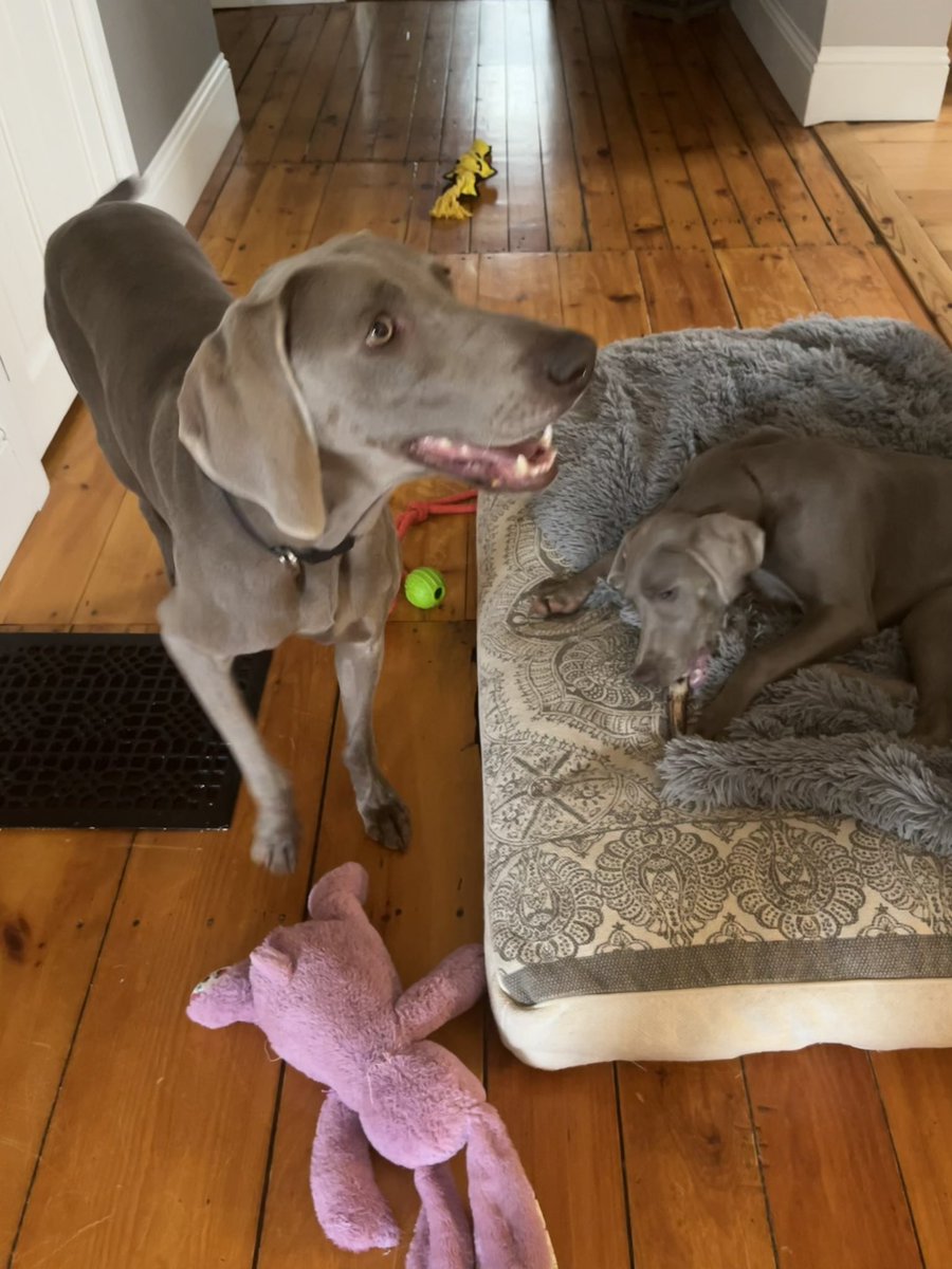 Tamara Nugent tweet media