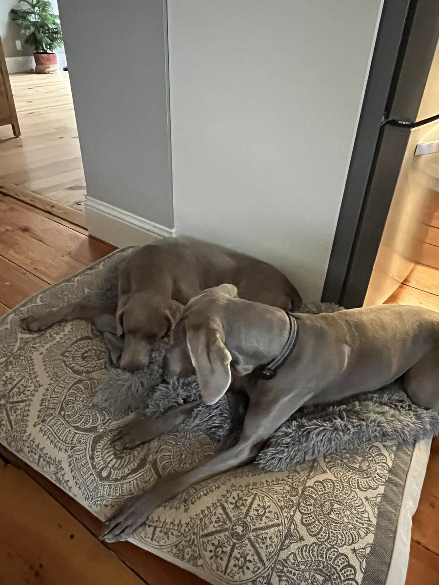 Tamara Nugent tweet media