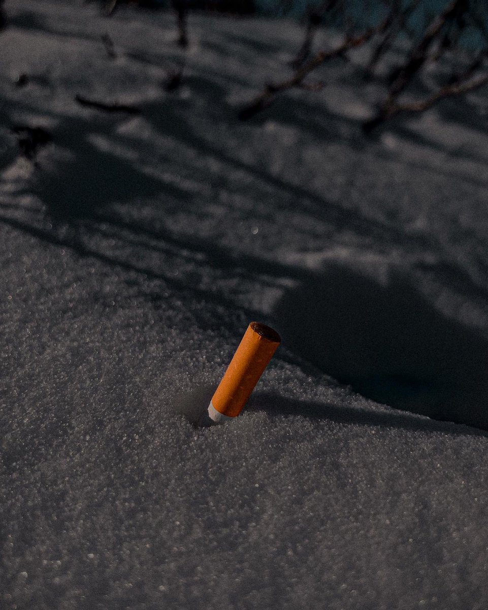 Anisan_i_'s tweet photo. //🔹🅲 🅻 🅾 🆂 🅴  🆄 🅿🔹\\
#streetphotographer #streetphotography #shotoniphone #Montreal #macrophotography #Apple 
▪️📱📸• 𝕀𝕡𝕙𝕠𝕟𝕖𝟙𝟛ℙ𝕣𝕠𝕄𝕒𝕩 
▪️✍️ 🎨•𝕃𝕚𝕘𝕙𝕥𝕣𝕠𝕠𝕞
https://t.co/M5hw3qcXBc https://t.co/XKHlEJrNCo