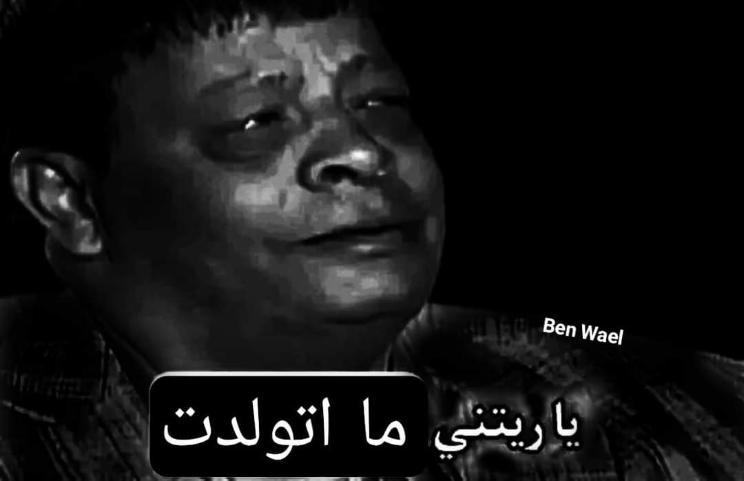 True Memes (@truememes_) on Twitter photo 