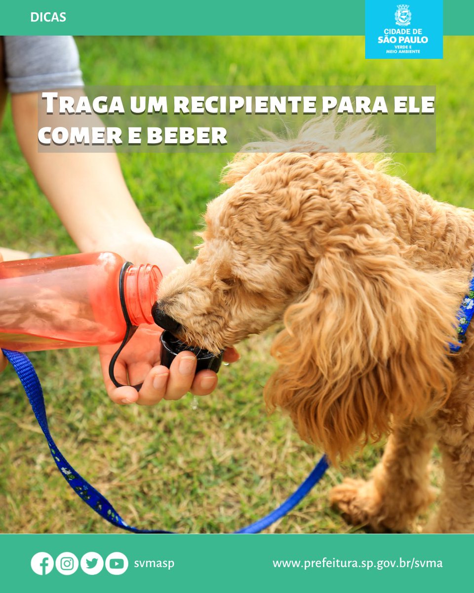 svmasp's tweet photo. Seu “doguinho” também precisa conhecer os parques urbanos municipais!
Trouxemos algumas dicas para vocês
(Segue o Fio🧶)
#svma #pets #parquessp #meioambiente #natureza https://t.co/mSSzNyEcFJ