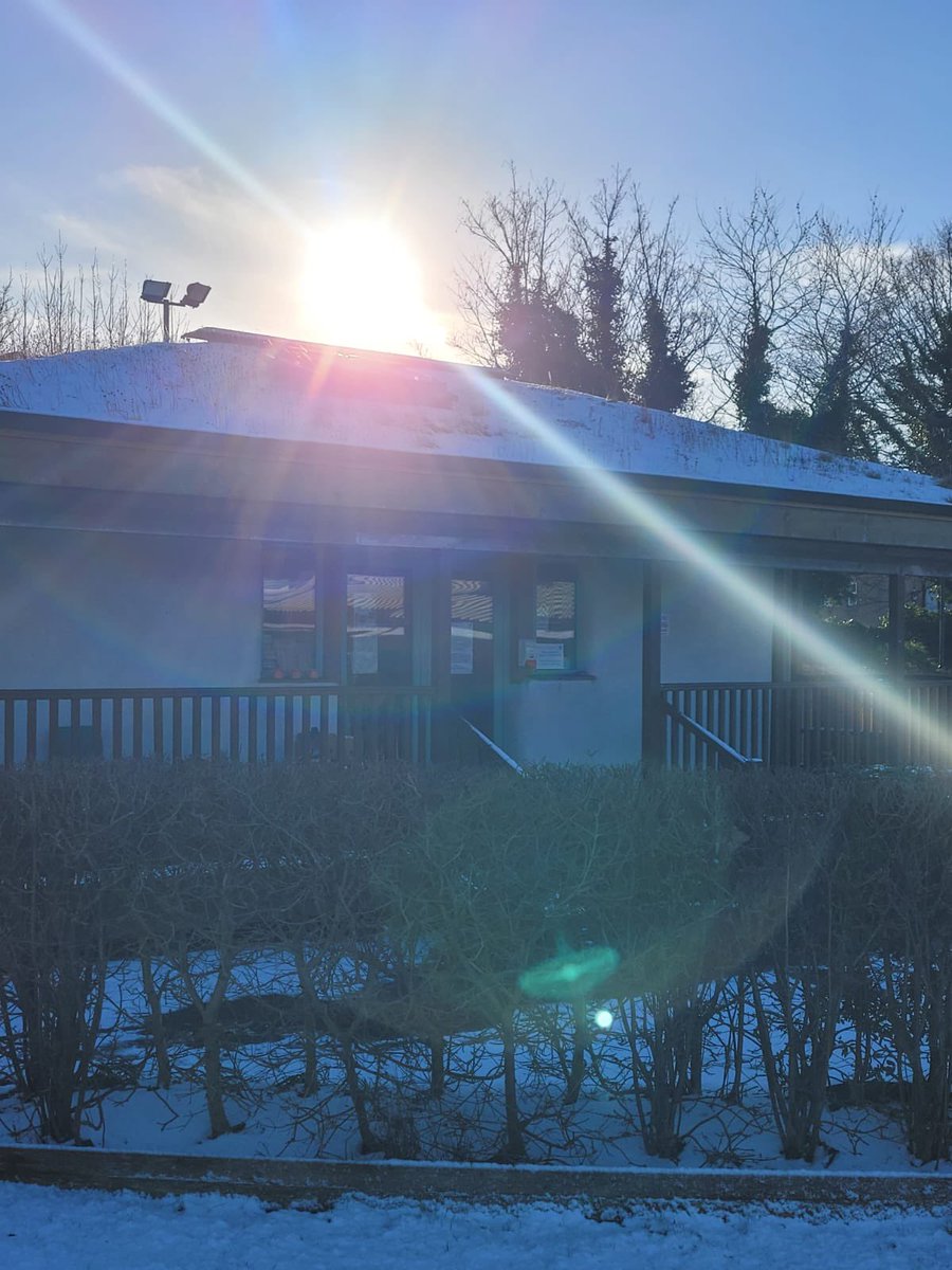PollinatorsPark's tweet photo. Our @OutbackGardenHX looking beautiful in the winter sunshine 💚 https://t.co/kWGKjeh6VI