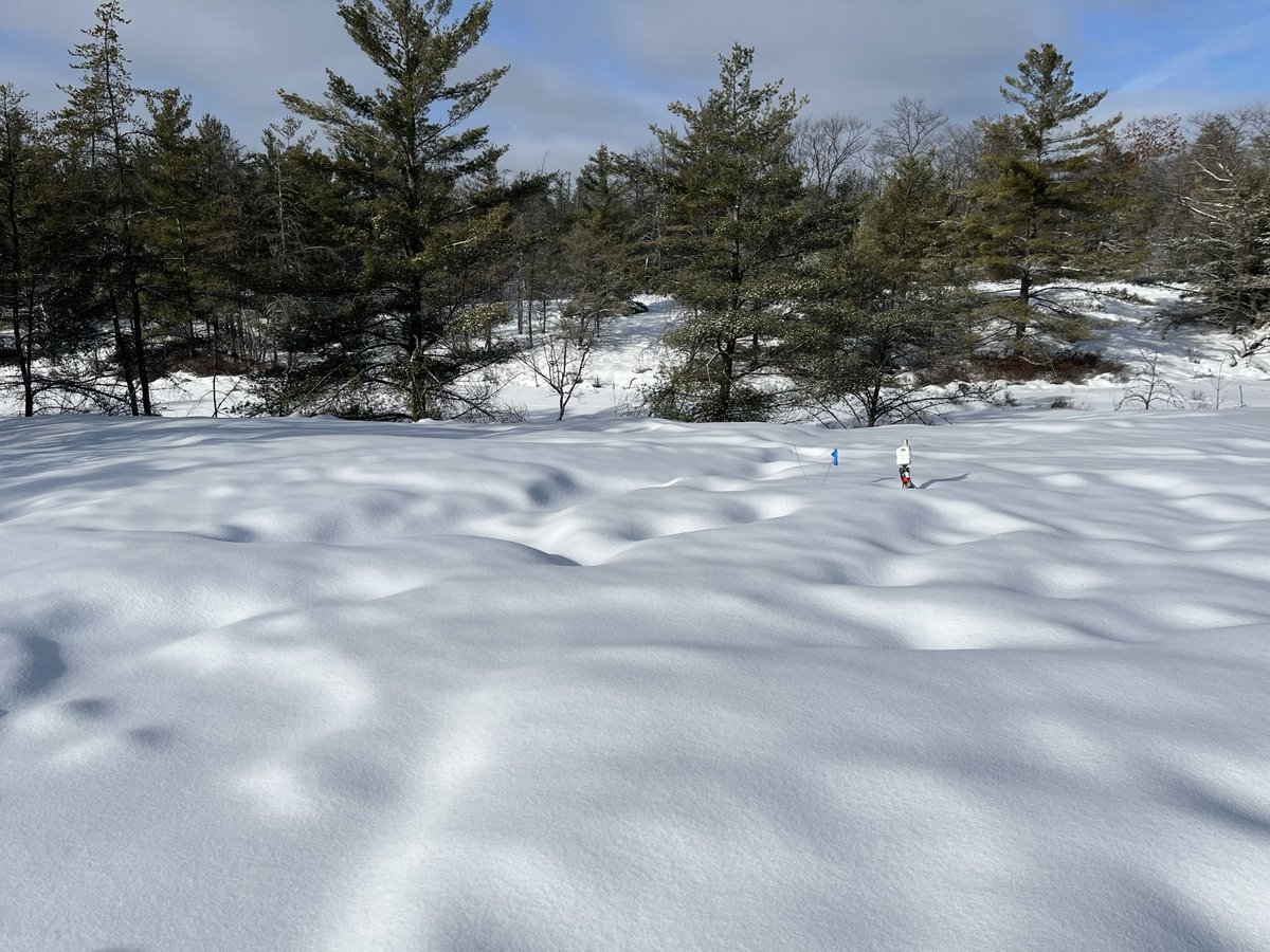 Hydrological flowpaths of snowmelts past
#FieldPhotoFriday