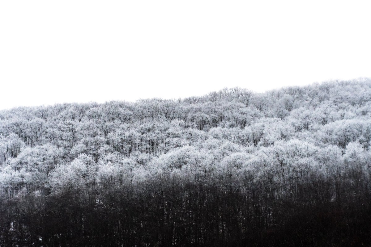 Frost line
#365photography2023, #potd2023, #photoaday, #everydayphotographer, #photooftheday, #pad2023-020, #picture3307, #frostline, #snowcaps, #winterhiking, #onthetrail, #keystonearchbridges, #kabtrail, #winterstorm