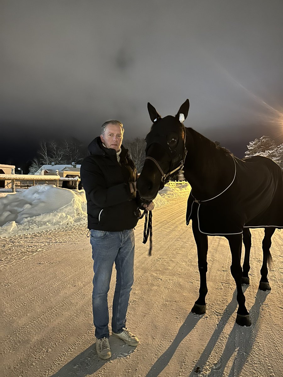 wiotti's tweet photo. Anlänt @stersundstravet inför morgondagens start #V75 #rkqueen https://t.co/JwbFORd8R7
