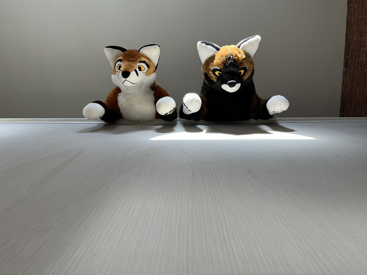 Where’s all that barking coming from @GunthyBear