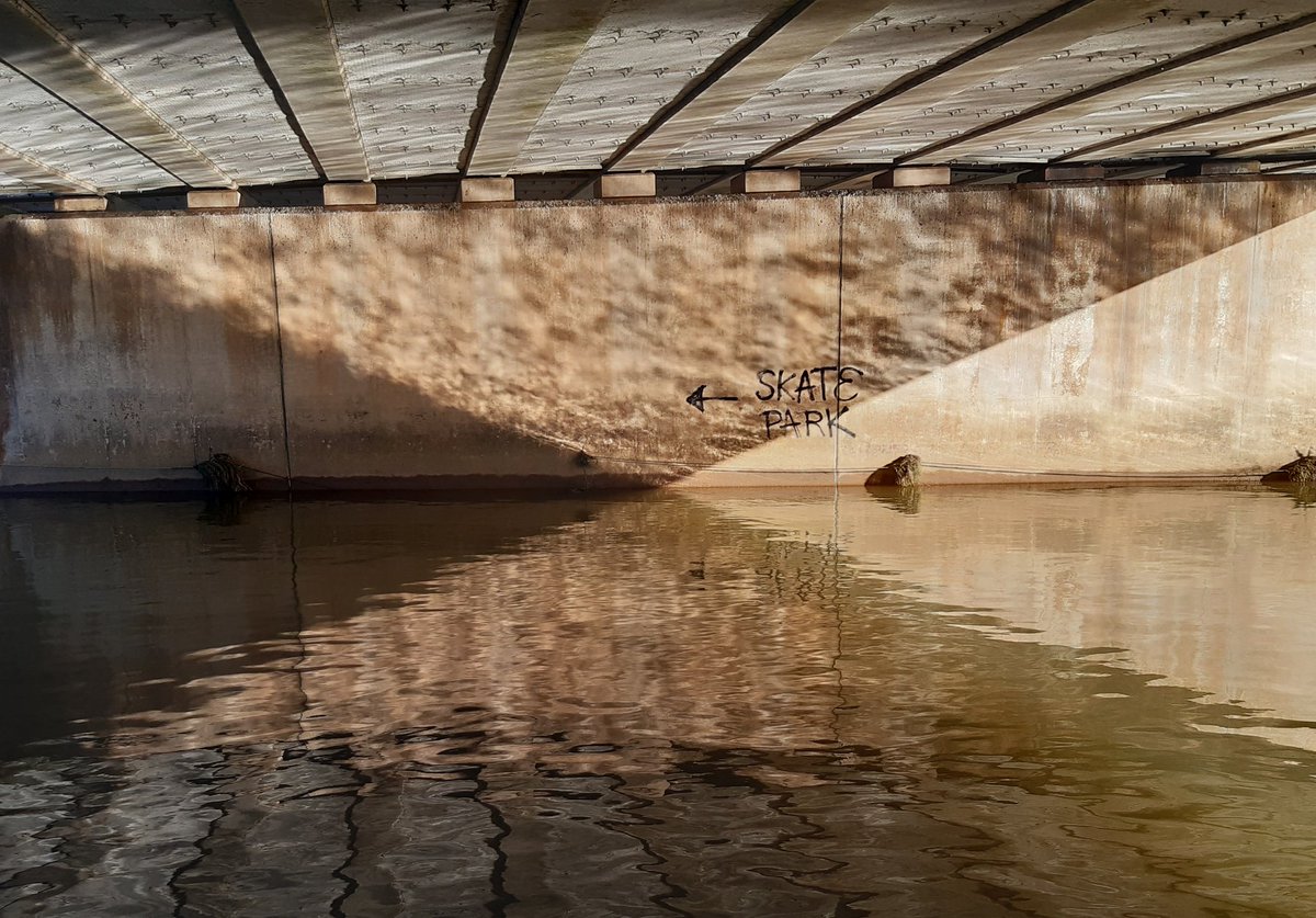 Simon Trevan 💙 tweet media