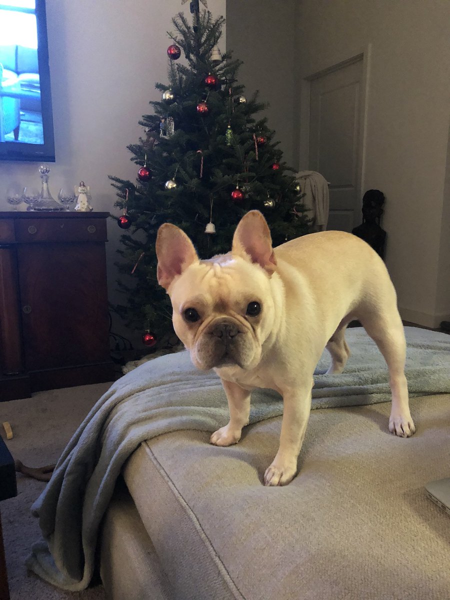 GutterChad.Eth tweet media