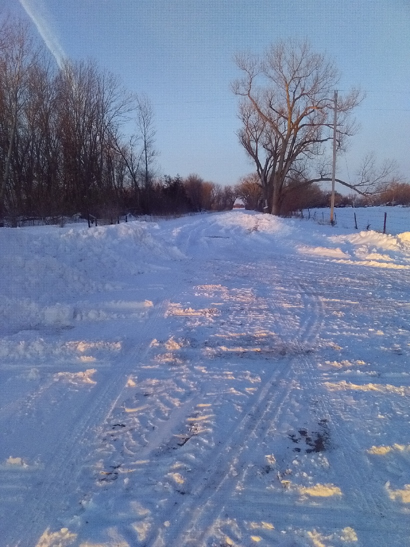 KBRXCuzzinJimmy's tweet photo. My morning walk to start up the tractor..... At least it was knee deep snow this time. Just near my shins. https://t.co/ALGxQaKi54