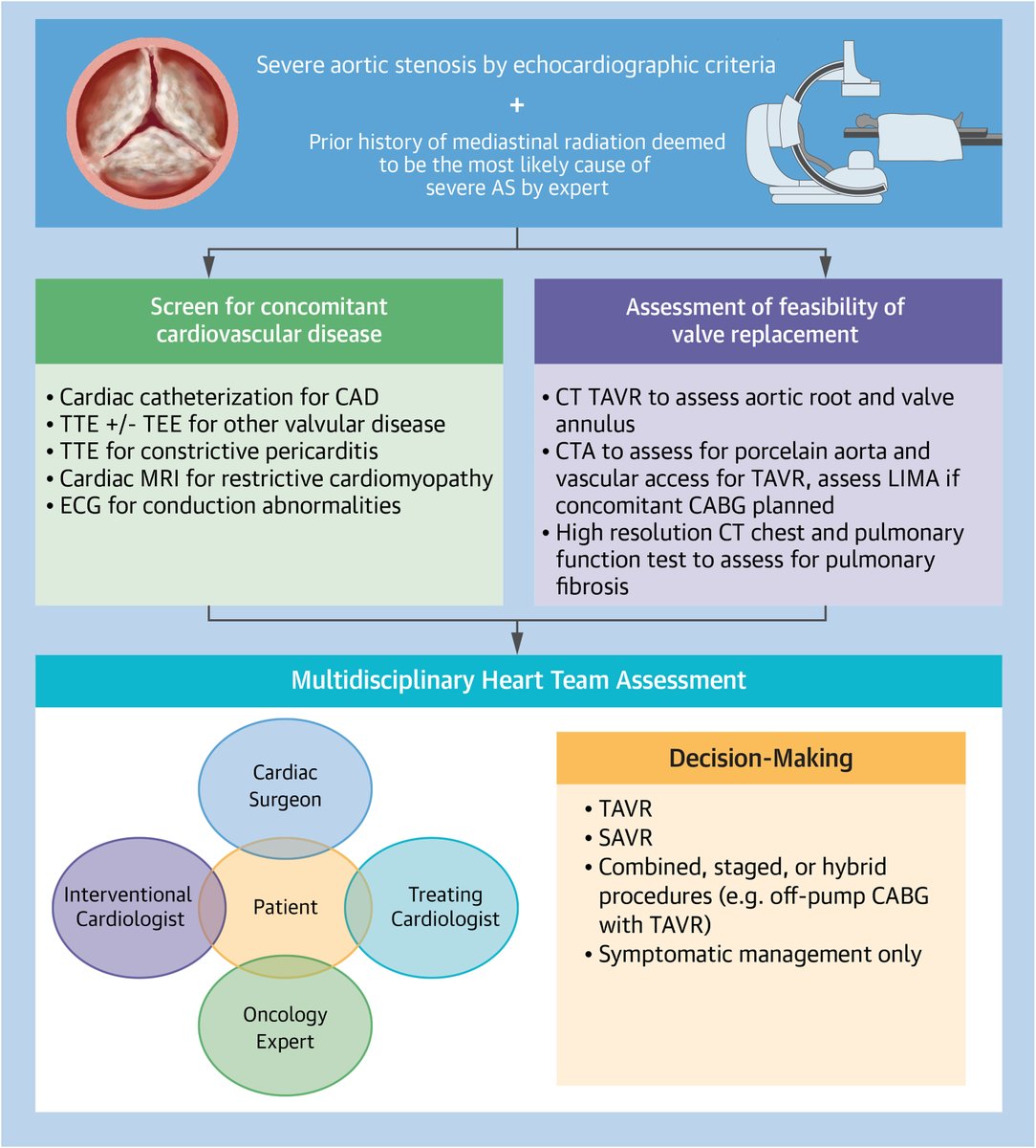 JACCJournals's tweet photo. Increasing use of mediastinal #radiation to heal malignancies is paralleled by raising cases of radiation-induced #vhdAS. This narrative review highlights evidence to guide Tx in pts often younger but not at ⬇️ surgical risk https://t.co/xStamvyjhf #JACCAdvances #CardioOnc #TAVR https://t.co/Vt7wJryaeI