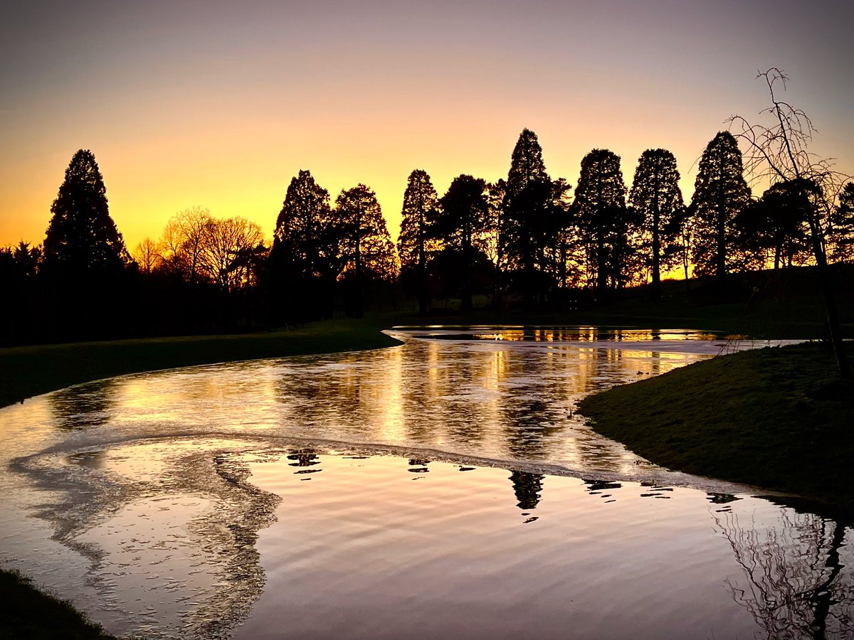 Sunset over the new lake through the giant redwoods <a href="/RHSWisley/">RHS Garden Wisley</a>