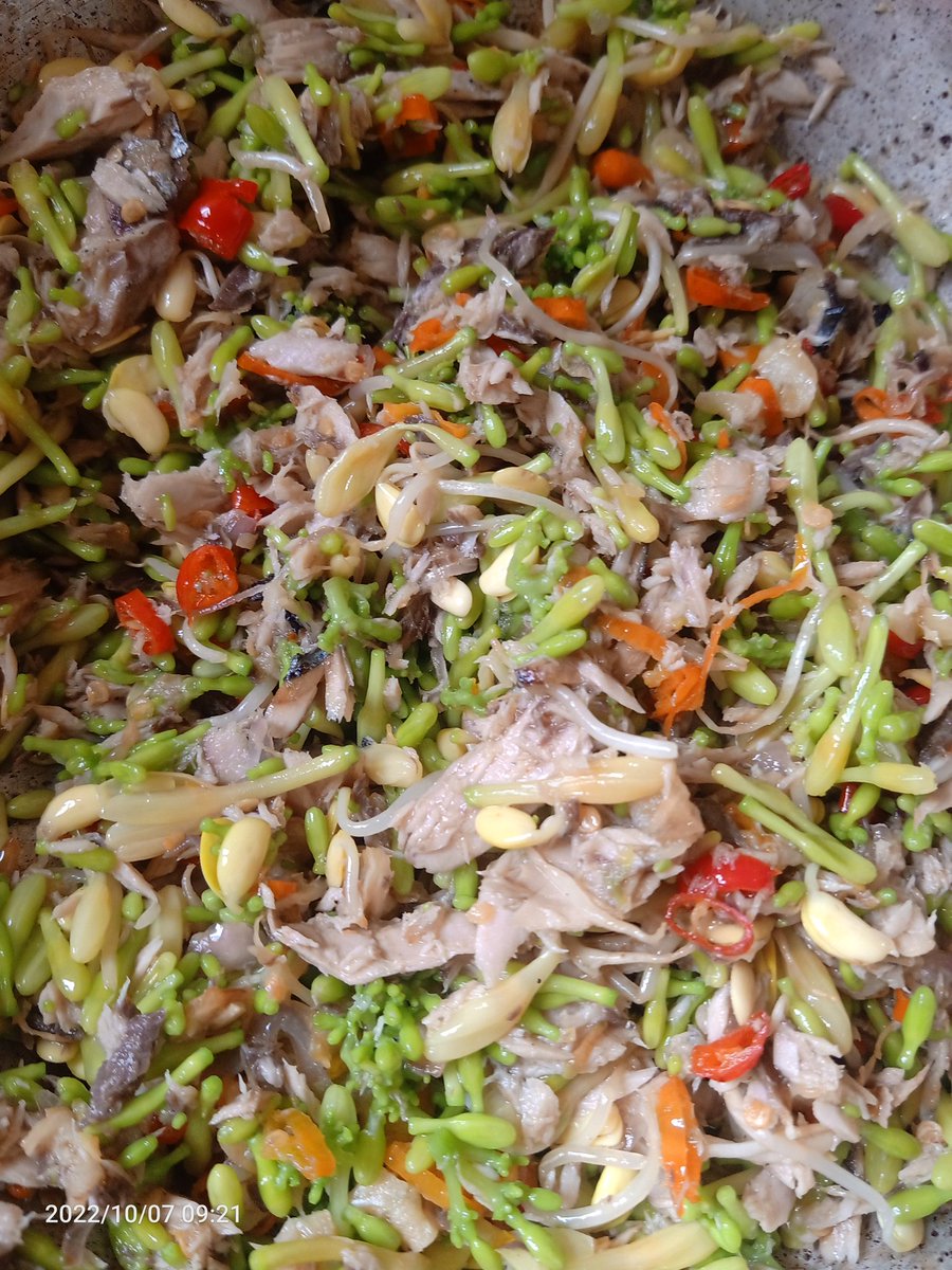 ditarifin91's tweet photo. @FOODFESS2 Tongkol bunga pepaya 👍🏻 https://t.co/6cx3EeiVwb
