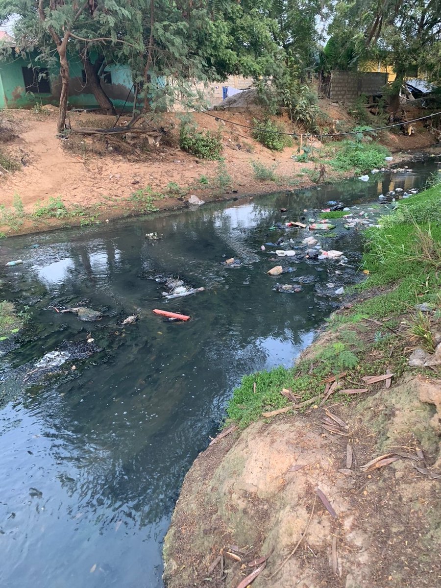 KarlyKheyly's tweet image. The first thing to welcome you in Nungua Buade is the bite of mosquitoes and this has become unbearable for the residents. They are pleading on Government to help fix the bridges or better still help spray the community. @kodwoboateng @TDzineku #mediacourse