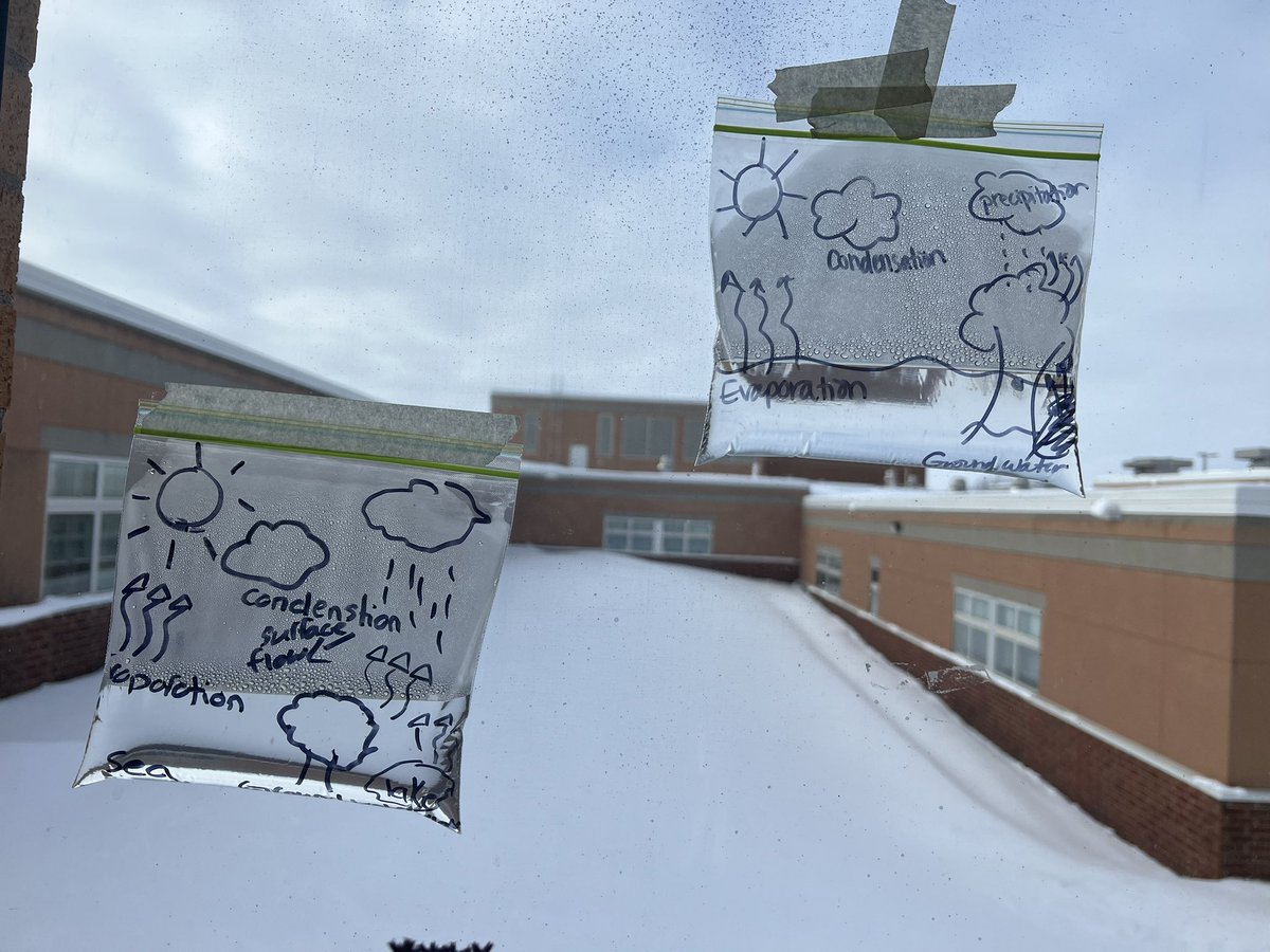 5th graders in Mrs Cline’s science class observed the water cycle by making a water cycle in a bag today! <a href="/kwpublicschools/">K-W Public Schools</a>