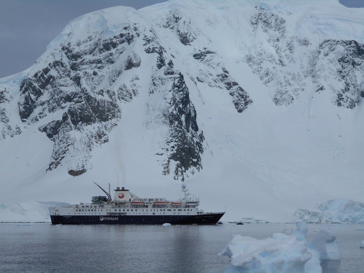 HolidaysHannah's tweet photo. NEW POST: Life on the boat

What was life like on board an Antarctic Expedition Cruise? 

https://t.co/fJZIHCOkCv 

#Antarctica #OceanEndeavour #IntrepidTravel #BucketList #Travel #Cruise #Cruising #FoodFoodFood #IAATO 

@Intrepid_Travel @shapcottman https://t.co/Lw3AoB4Sqc