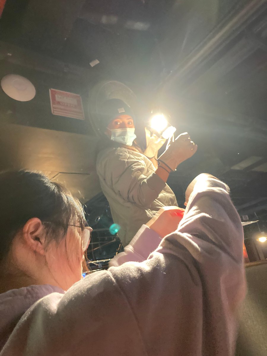 SVA MFA Social Documentary Film tweet media