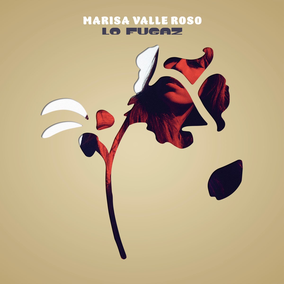 Décima Esfera tweet media