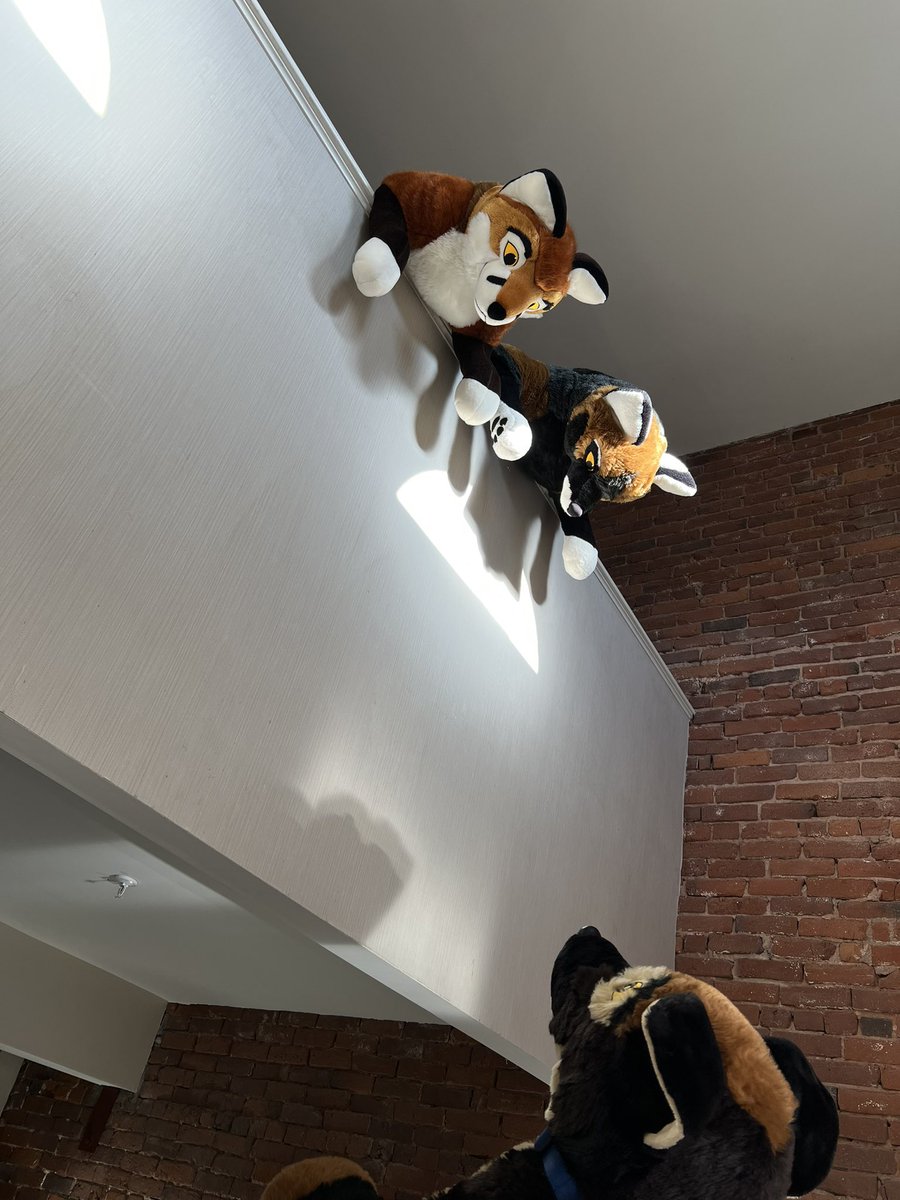 You <a href="/PlushLife_eu/">PlushLife</a> Foxes need to get going to <a href="/Anthro_NE/">Anthro New England | #ANE2026</a> #ANE2023 #anthronewengland !!