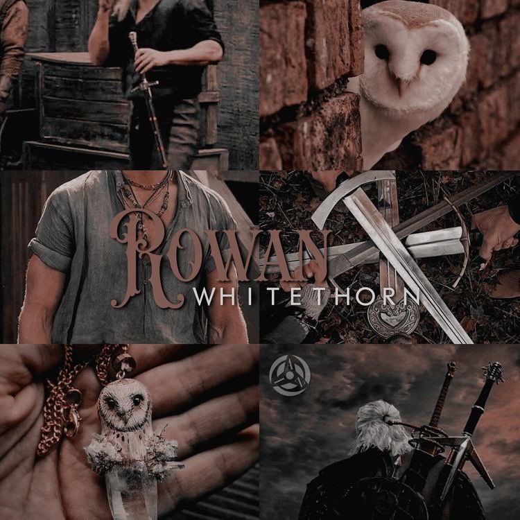 Rowan Whitethorn tweet media