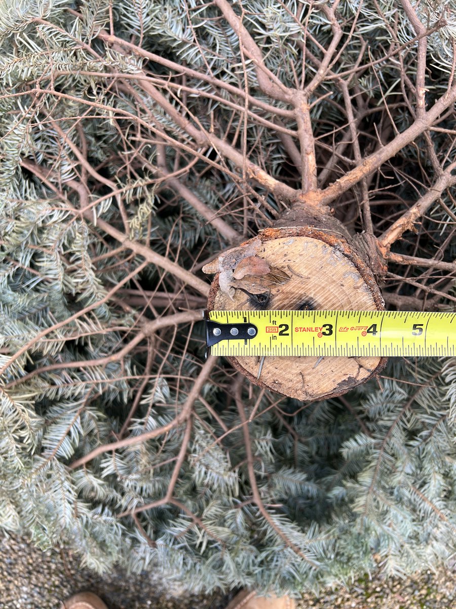 Phil Prasek tweet media