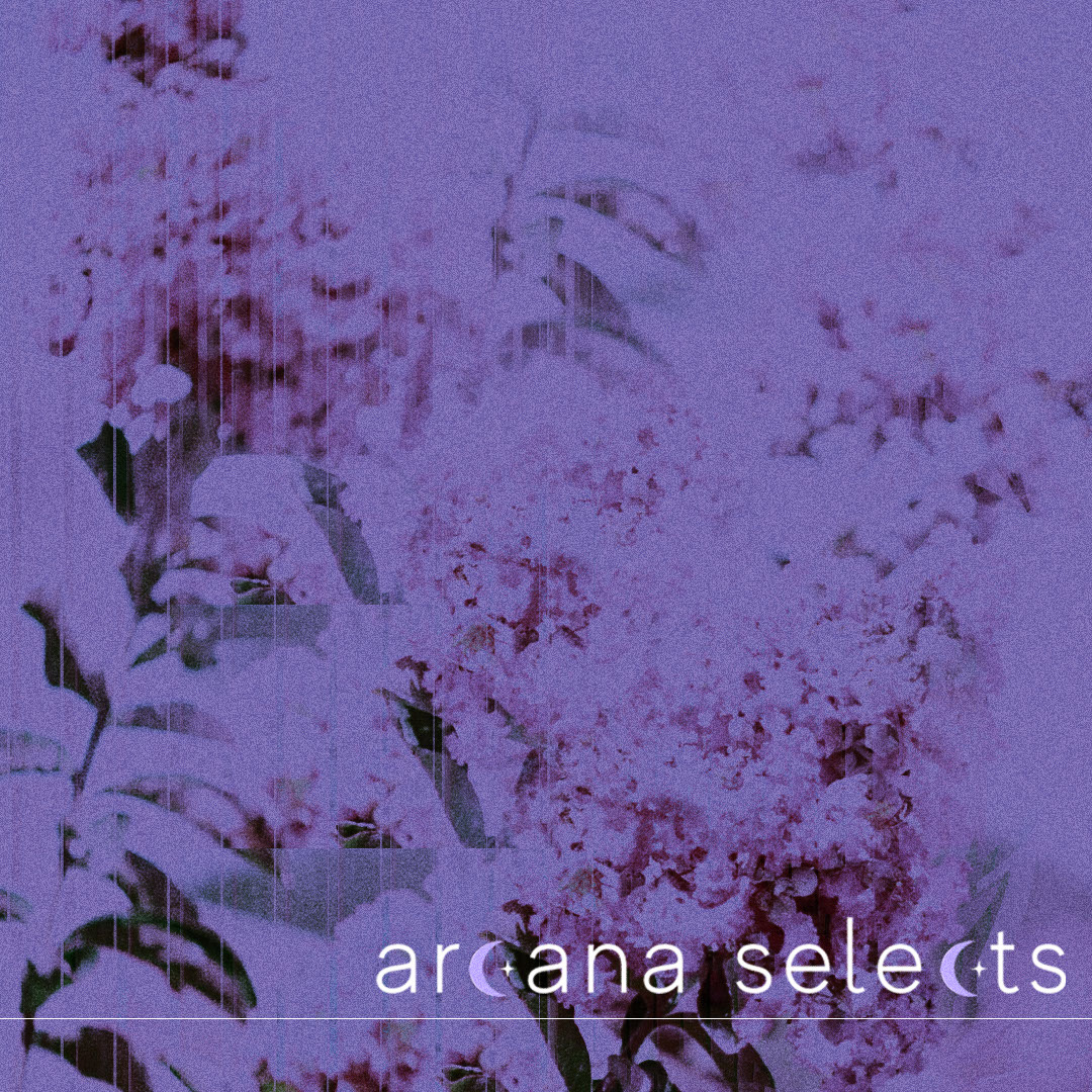 arcanamgmt's tweet photo. arcana selects ☽ 

ft. new music from 
@paulineherr 

@gyrofield 

@RohaanOfficial 

@rossykate 

@tsuruda 

@eprombeats 

@shakira 

@AYYBOmusic  

@ero_808 

@pitbull 

@fatimahajji 

 &amp; more.

link below - https://t.co/WWDiypxk7N