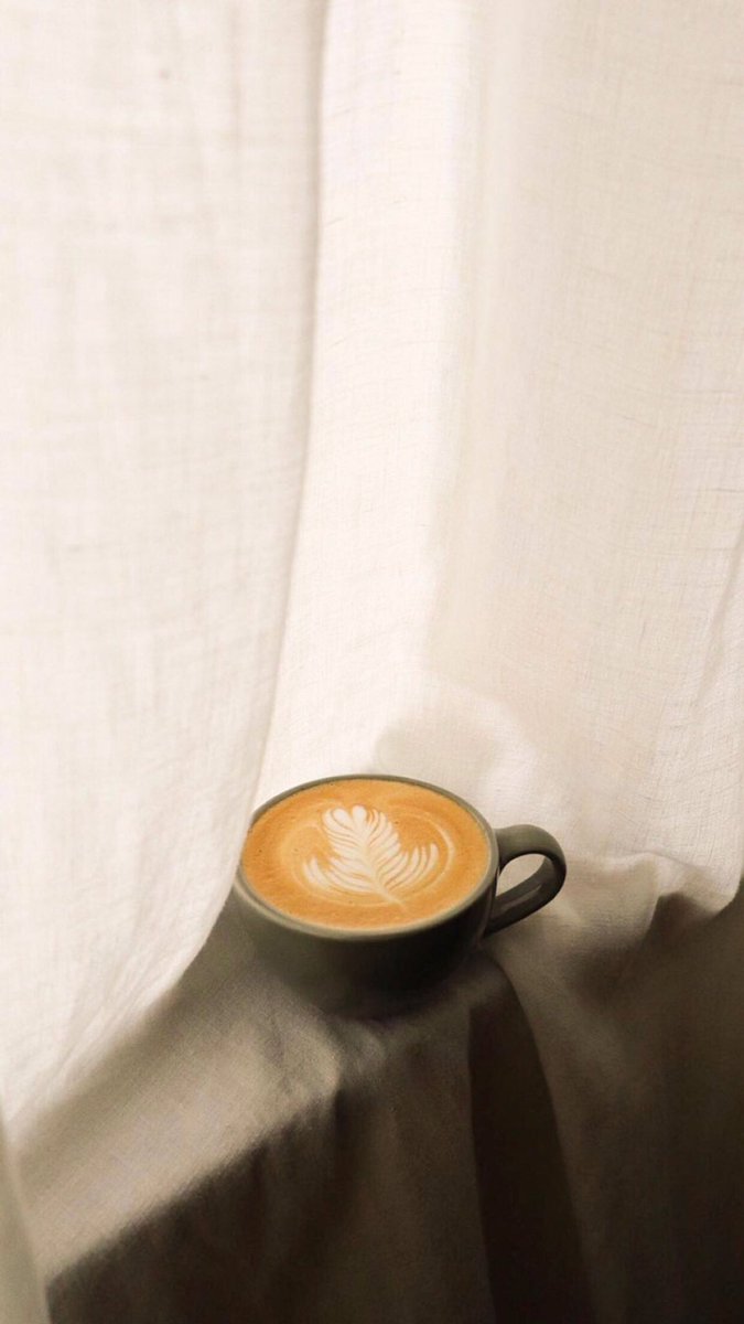 Tusha ✨ tweet media