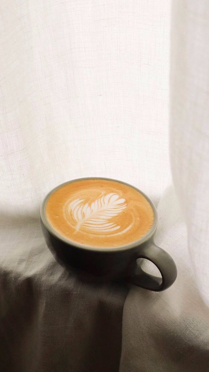 Tusha ✨ tweet media