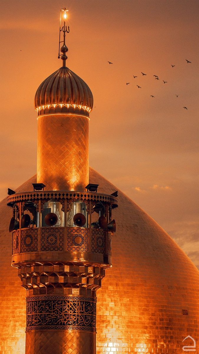 Ahmed Radwan 65 (@65_radwan) on Twitter photo 